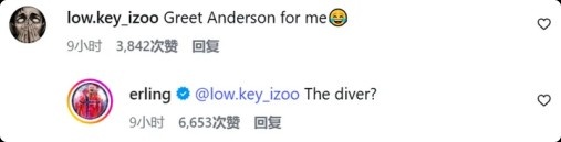 哈兰德回应球迷：跳水的那位？